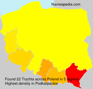 Trychta Trychta