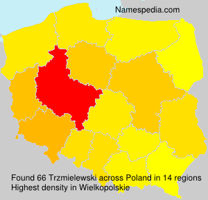 Trzmielewski Trzmielewski