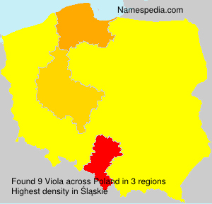 Viola Viola