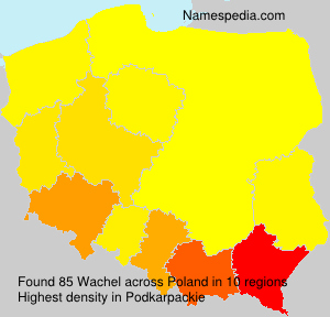 Wachel Wachel