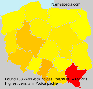 Warzybok Warzybok