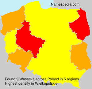 Surname Wasecka in Poland Surname Wasecka in Poland