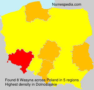 Surname Wasyna in Poland