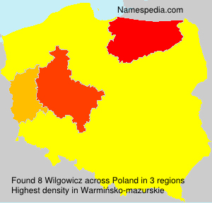 Wilgowicz Wilgowicz