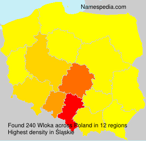 Wloka Wloka