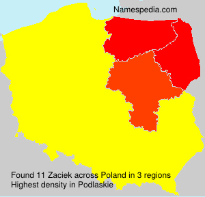 Zaciek Zaciek