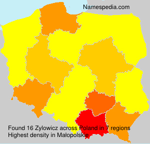 Surname Zylowicz in Poland Surname Zylowicz in Poland