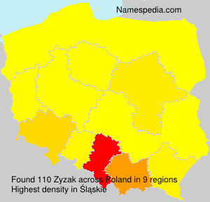 Zyzak Zyzak
