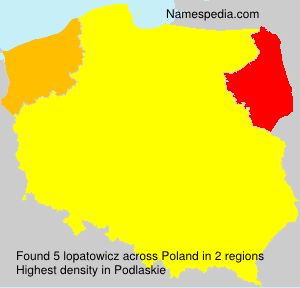 Surname lopatowicz in Poland Surname lopatowicz in Poland