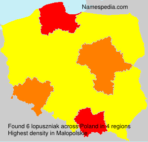 lopuszniak lopuszniak