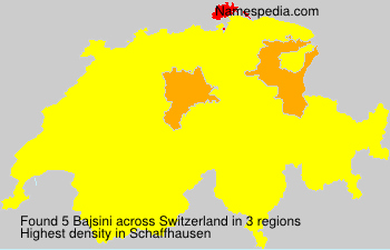 Bajsini Bajsini