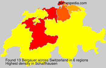 Bergauer Bergauer