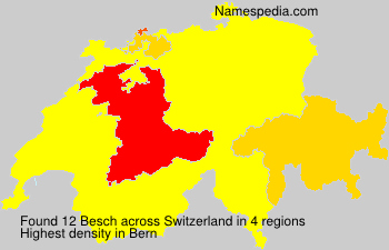 Besch Besch