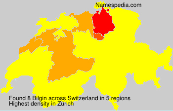 Surname Bilgin in Switzerland Surname Bilgin in Switzerland