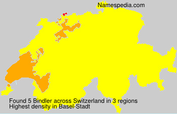 Bindler Bindler