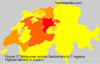 Birbaumer Birbaumer