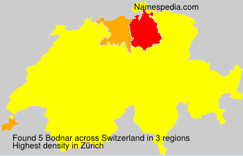 Bodnar Bodnar