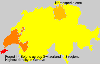 Bolens Bolens