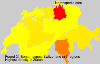 Borsari Borsari