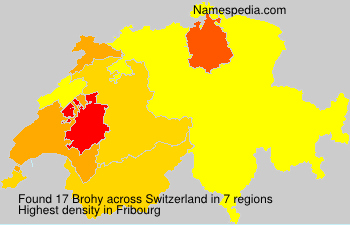 Brohy Brohy