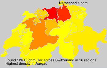 Buchmuller Buchmuller
