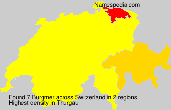 Burgmer Burgmer