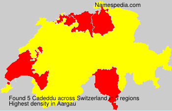 Cadeddu Cadeddu