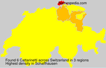 Surname Cattarinetti in Switzerland Surname Cattarinetti in Switzerland