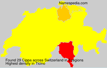 Cippa Cippa