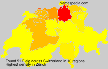 Fleig Fleig