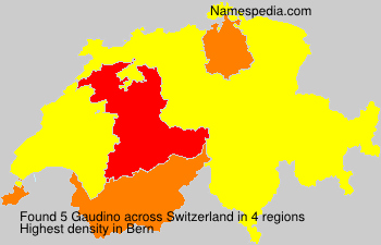 Gaudino Gaudino