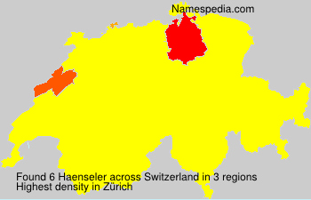 Haenseler Haenseler