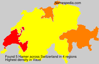 Hamer Hamer