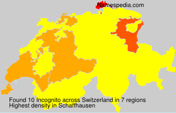 Surname Incognito in Switzerland Surname Incognito in Switzerland