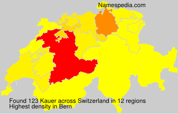 Kauer Kauer