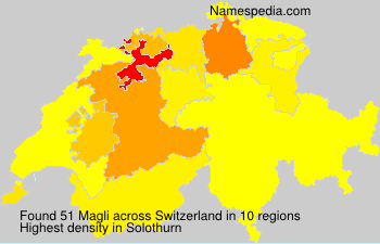 Magli Magli