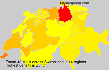 Malik Malik