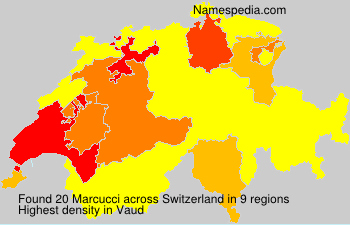Marcucci Marcucci