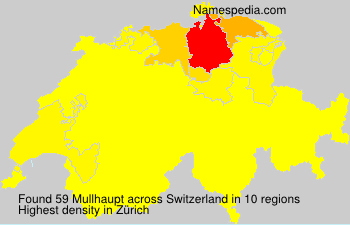 Mullhaupt Mullhaupt