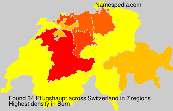 Surname Pflugshaupt in Switzerland Surname Pflugshaupt in Switzerland