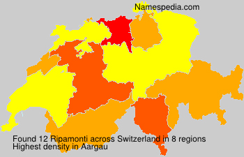 Ripamonti Ripamonti