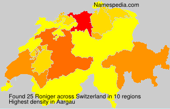 Roniger Roniger