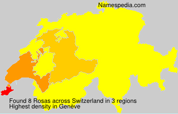 Rosas Rosas
