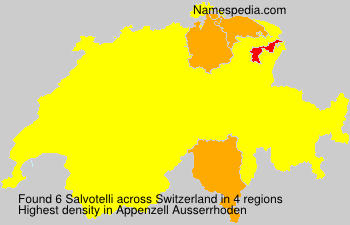 Salvotelli Salvotelli