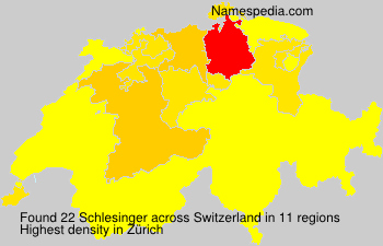 Schlesinger Schlesinger