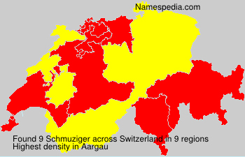 Schmuziger Schmuziger