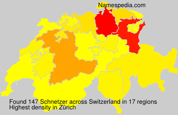 Schnetzer Schnetzer