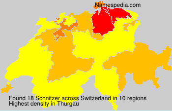 Surname Schnitzer in Switzerland Surname Schnitzer in Switzerland