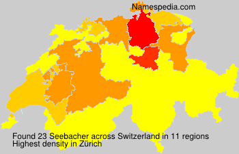 Seebacher Seebacher