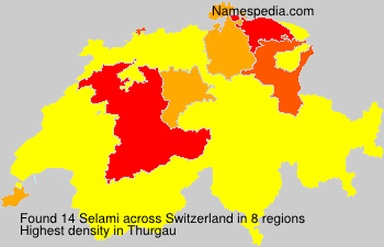 Selami Selami